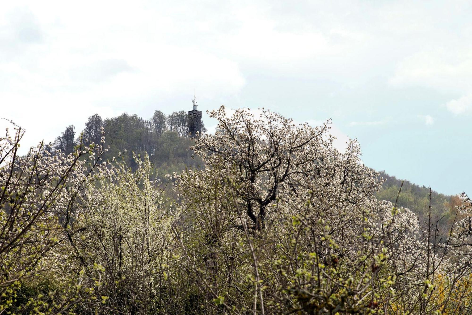 Ferienhaus "Am Staufenberg" Бланкенбург Екстериор снимка
