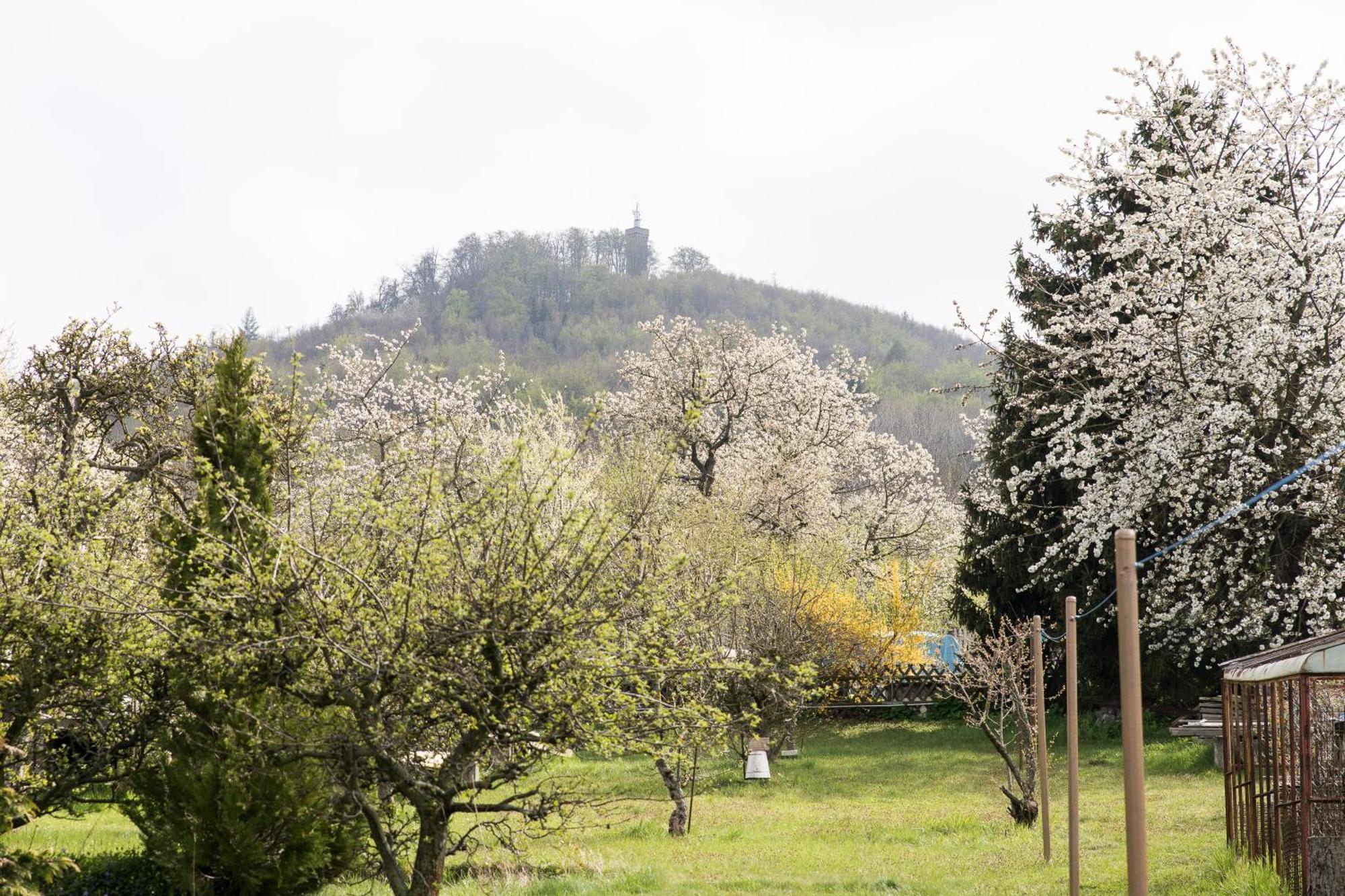Ferienhaus "Am Staufenberg" Бланкенбург Екстериор снимка